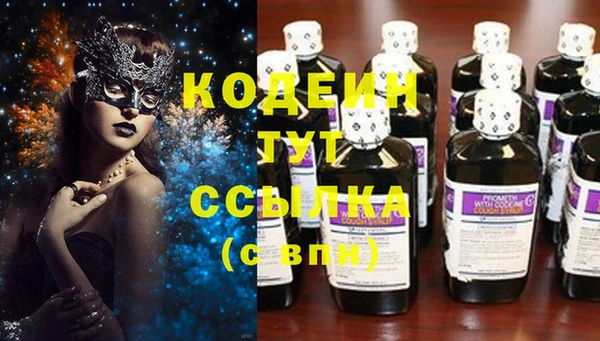 прущие грибы Горно-Алтайск