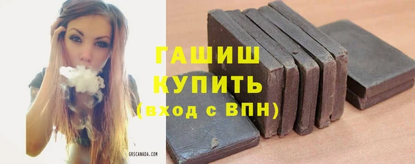 прущие грибы Горно-Алтайск