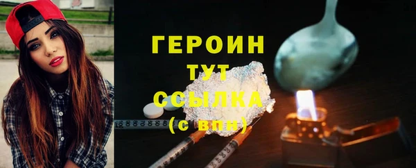 прущие грибы Горно-Алтайск