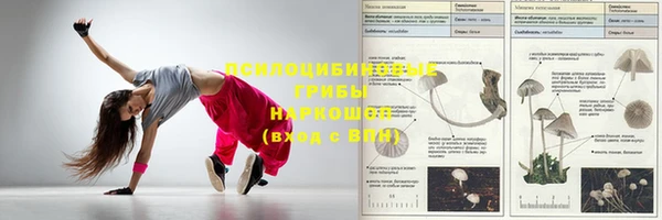прущие грибы Горно-Алтайск