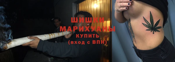 прущие грибы Горно-Алтайск