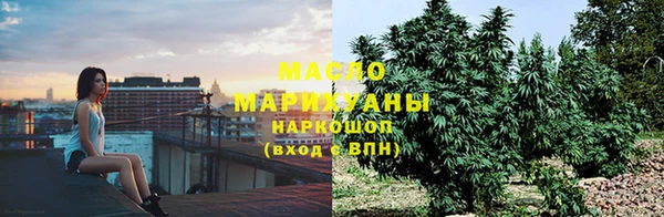 прущие грибы Горно-Алтайск