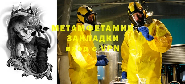 прущие грибы Горно-Алтайск
