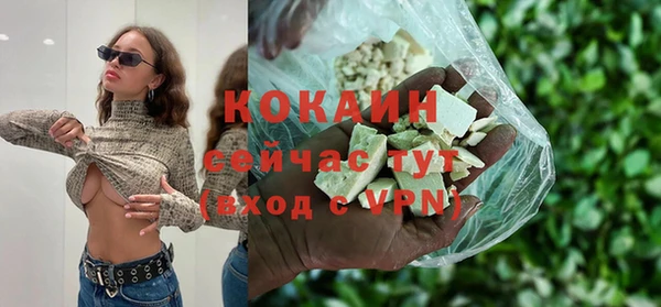 прущие грибы Горно-Алтайск