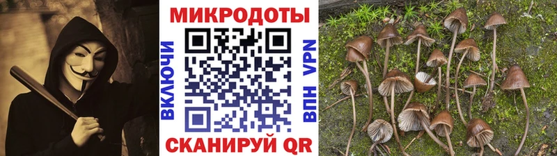 hydra рабочий сайт  где можно купить наркотик  Дубна  Псилоцибиновые грибы Cubensis 